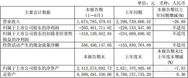 華菱星馬會計(jì)數(shù)據(jù).jpg