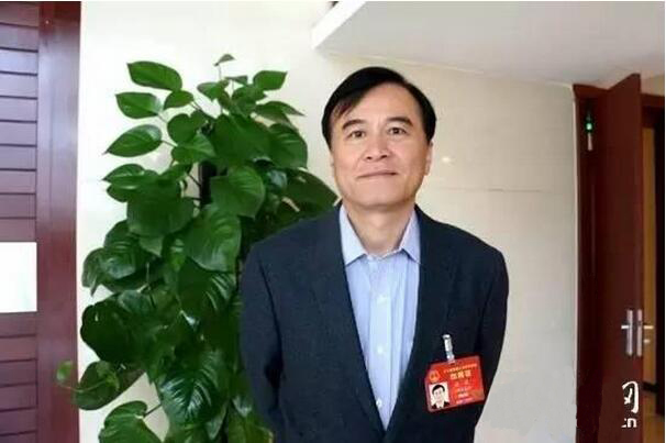 全國人大代表、江淮汽車董事長安進.jpg