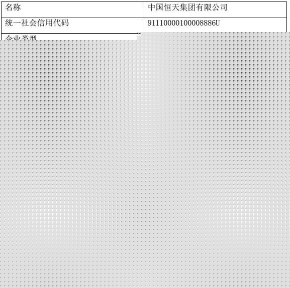 恒天集團(tuán)基本資料.jpg