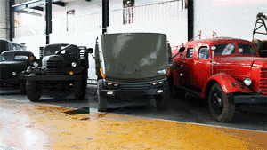 感悟歷史芳華1.gif