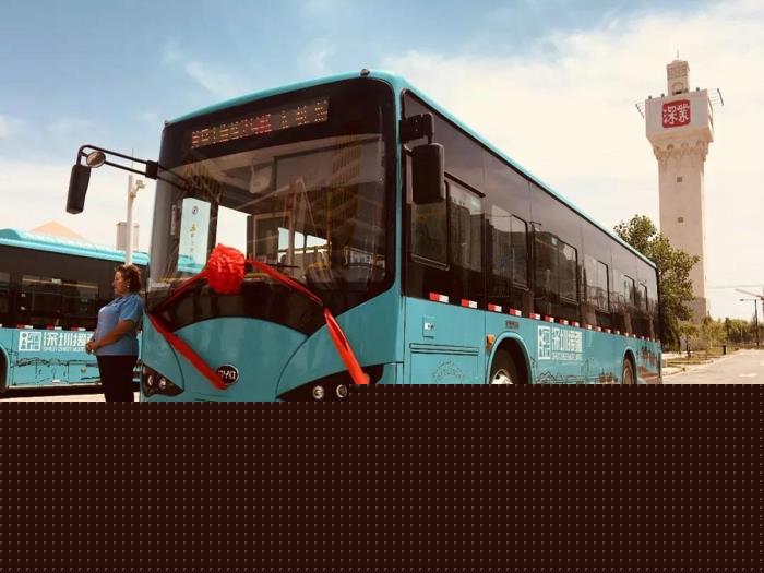 比亞迪首批純電動(dòng)公交車交付喀什2.jpg