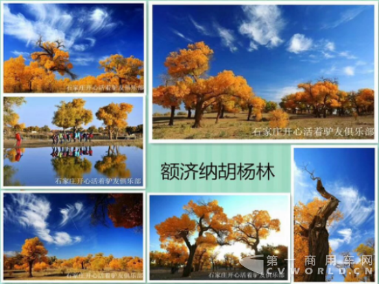 關(guān)根起：期待的美景，與福田圖雅諾一同去邂逅-10221379.png