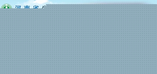 河南.webp.jpg