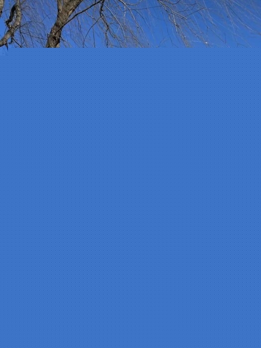 重塑3.webp.jpg