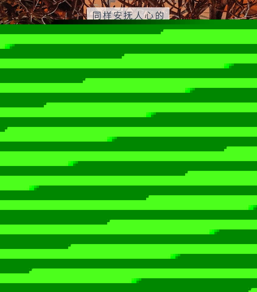 14.png